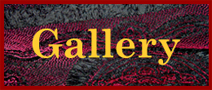 Other Indigenous Tribal Textiles