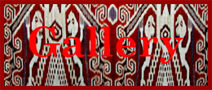 Borneo Indigenous Tribal Textiles