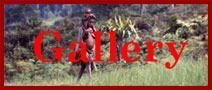 Other Indigenous Peoples Tribal Art